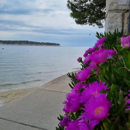 Apartament Jungic, Rab